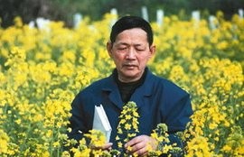 傅廷栋 